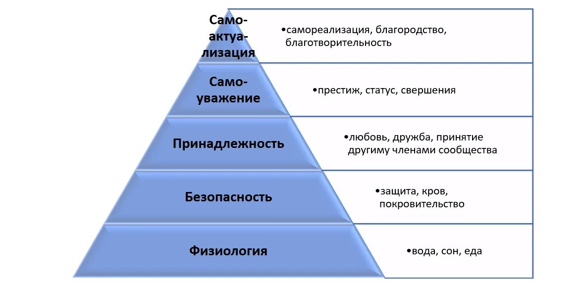 Потребности организации пример