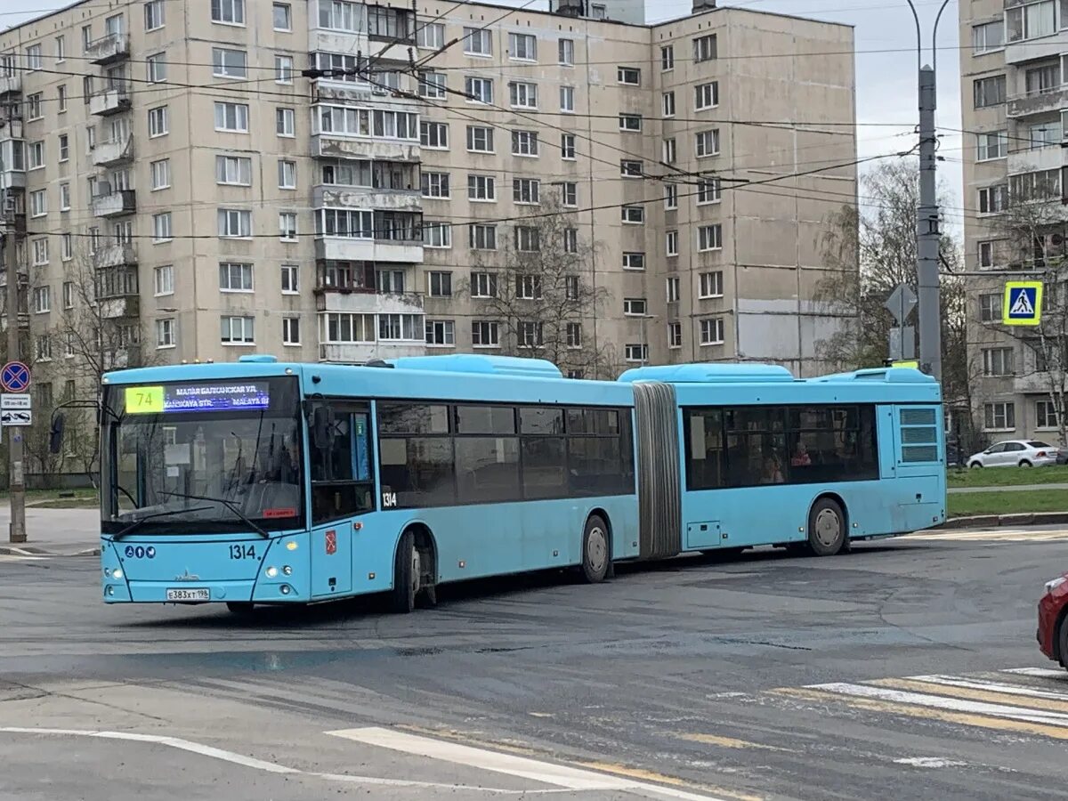 Маз 216 минск. Спб 216. Маз 216 лазурный. Лазурный автобус спб. Маз 216 москва.