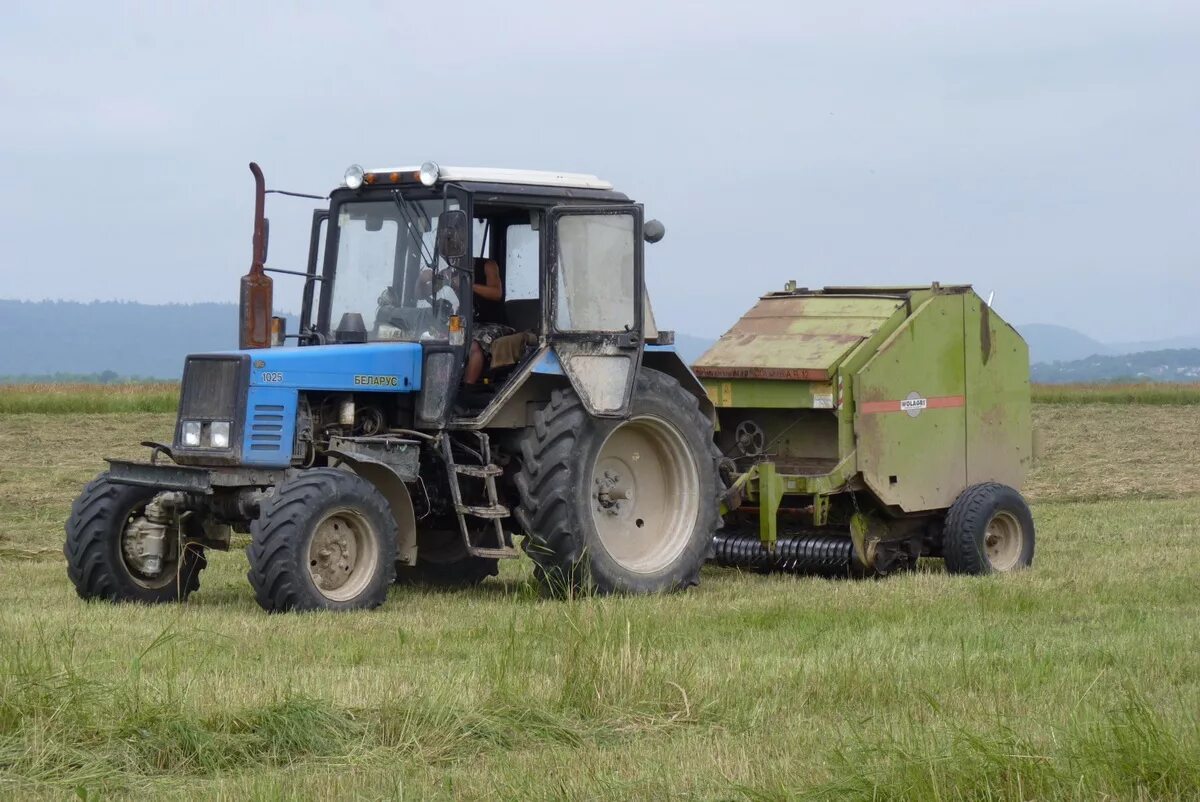общество с ограниченной ответственностью сельскохозяйственное предприятие