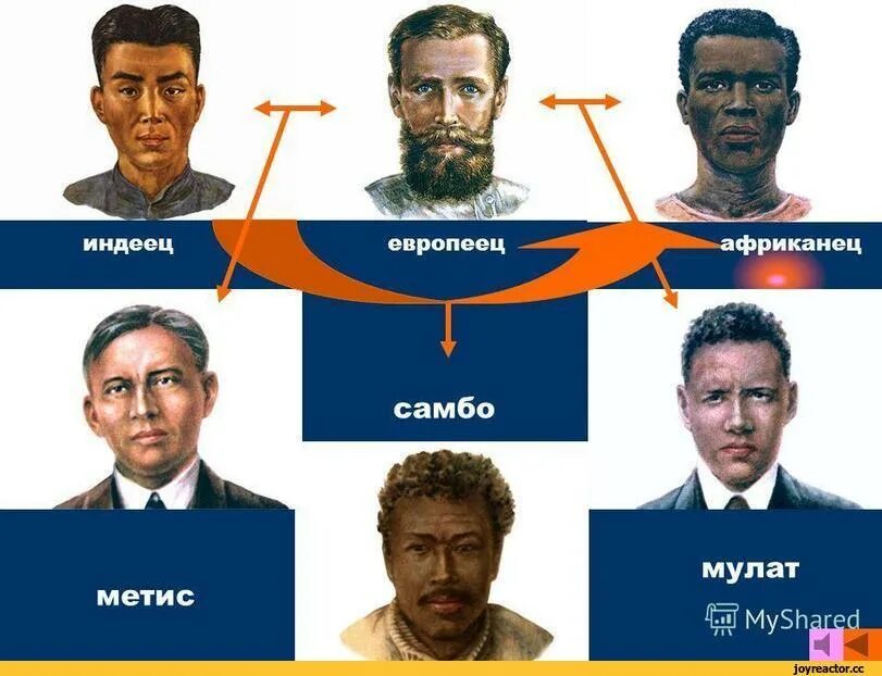 Мулаты южной америки. Мулат метис Креол. Мулат метис Креол разница. Метисы Мулаты самбо. Смешанные расы.