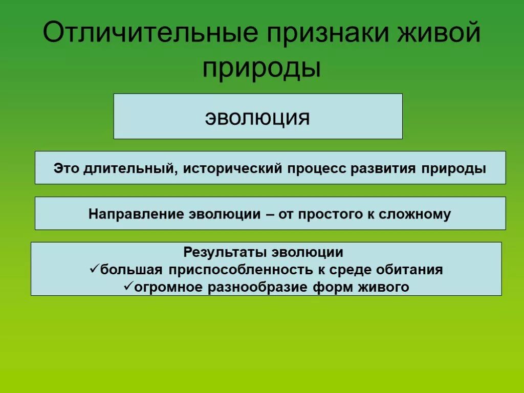 Характерные особенности живого. Длительный исторический процесс развития природы. Эволюция это длительный исторический процесс. Эволюционные процессы в живой природе. Процесс развития живой природы.