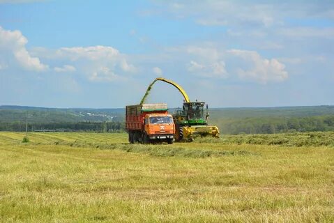 Заготовка силоса