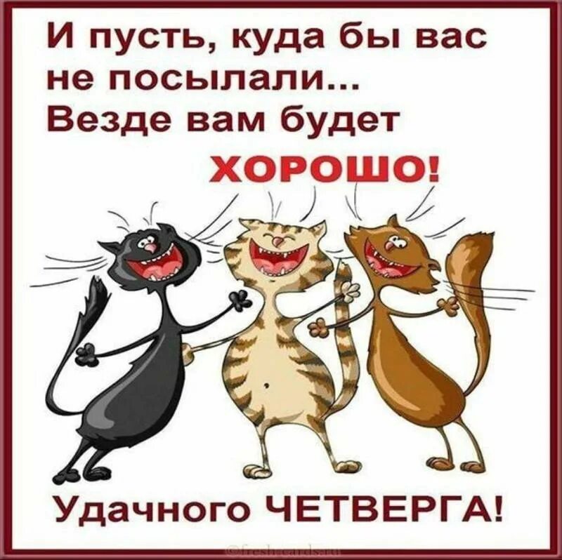 Хорошего дня шутки. Веселые открытки. открытки с юмором. афоризмы для поднятия настроения. хорошего дня юмор.