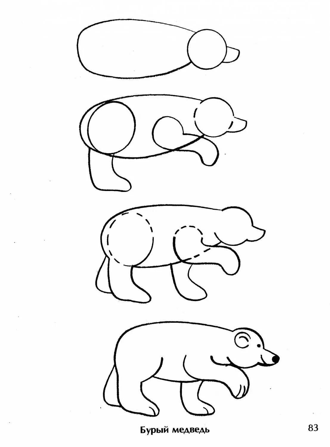 схема рисования медведя. поэтапное рисование медведя. рисование белого медведя в подготовительной группе. пошаговый рисунок медведя. медведь схема для детей.