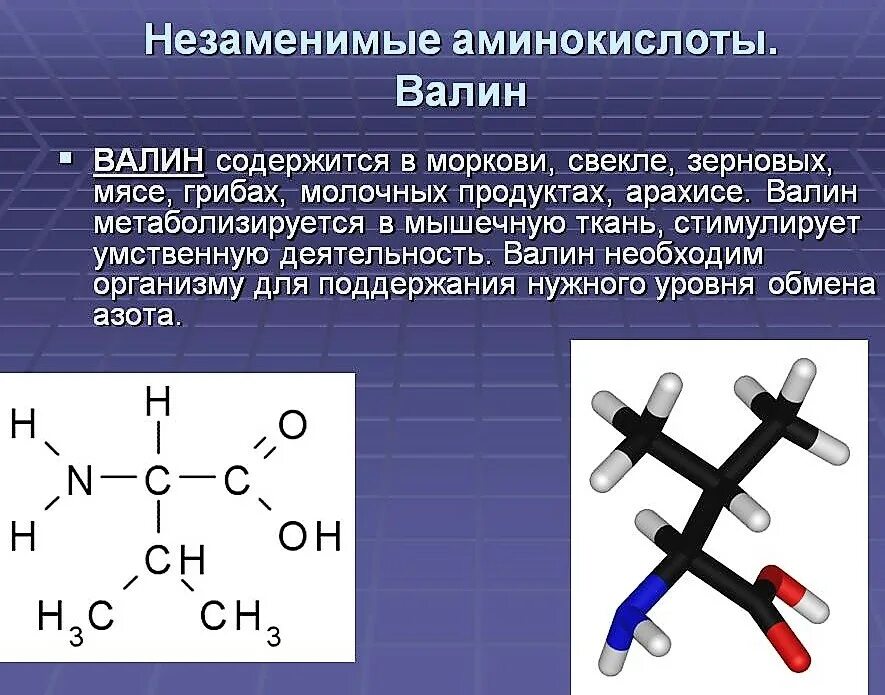 Аргинин функции аминокислоты. Роль незаменимых аминокислот в организме. Состав и строение аминокислот. Аминокислоты действие. Заменимые и незаменимые аминокислоты.