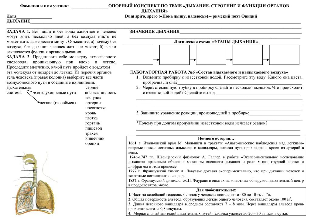 Лабораторная работа по теме дыхание корня. Опорный конспект дыхательная система человека. Конспект по биологии дыхательная система 8 класс. Конспект по биологии 8 класс органы дыхания. Опорный конспект органы дыхания человека.