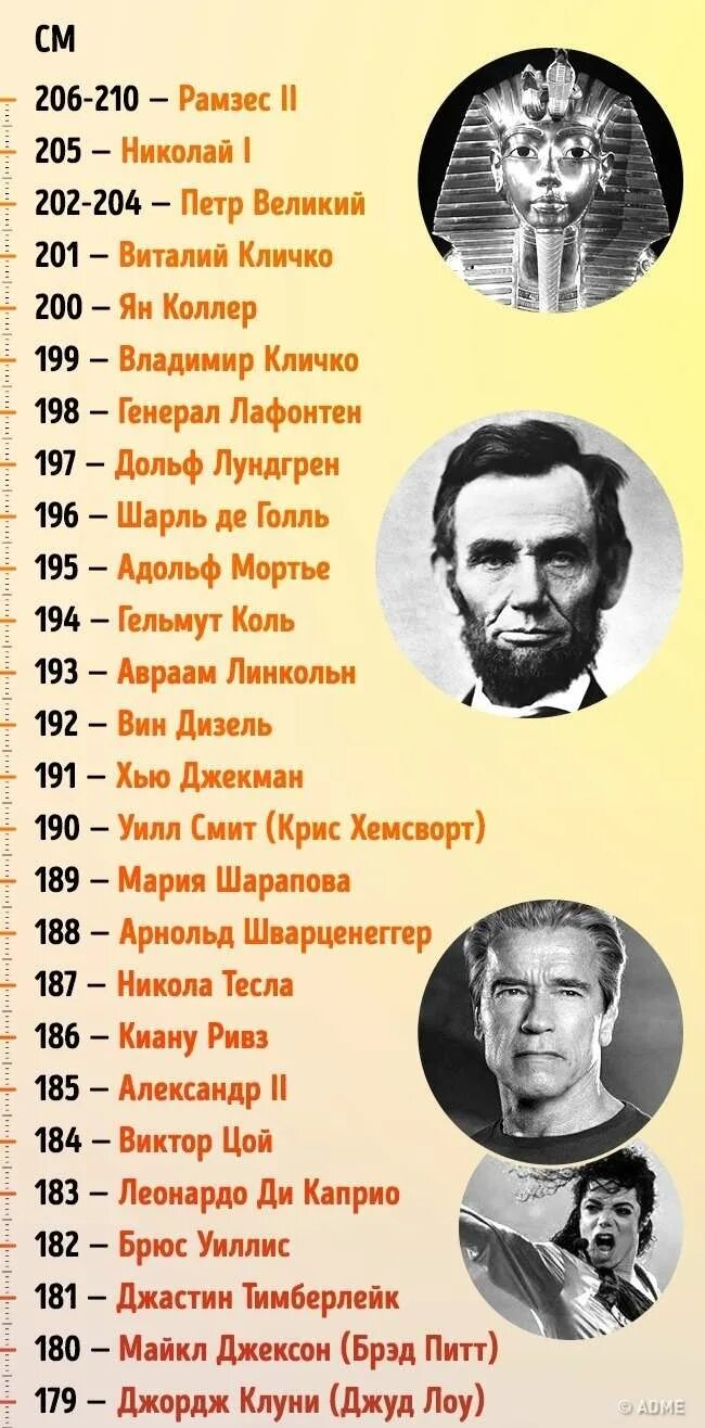 Профили известных писателей и поэтов. Портреты писателей. Рост известных писателей и поэтов. Рост писателей и поэтов. Рост русских писателей.