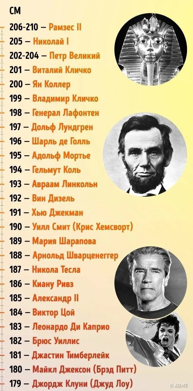 Рост знаменитостей. Рост известных людей. Известные личности по росту. Рост знаменитостей таблица.