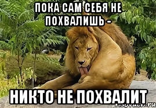 Пока сам не напишешь никто не напишет. Спаси себя сам цитаты. Высказывания лучших педагогов. Пока сам. Не суди человека пока.