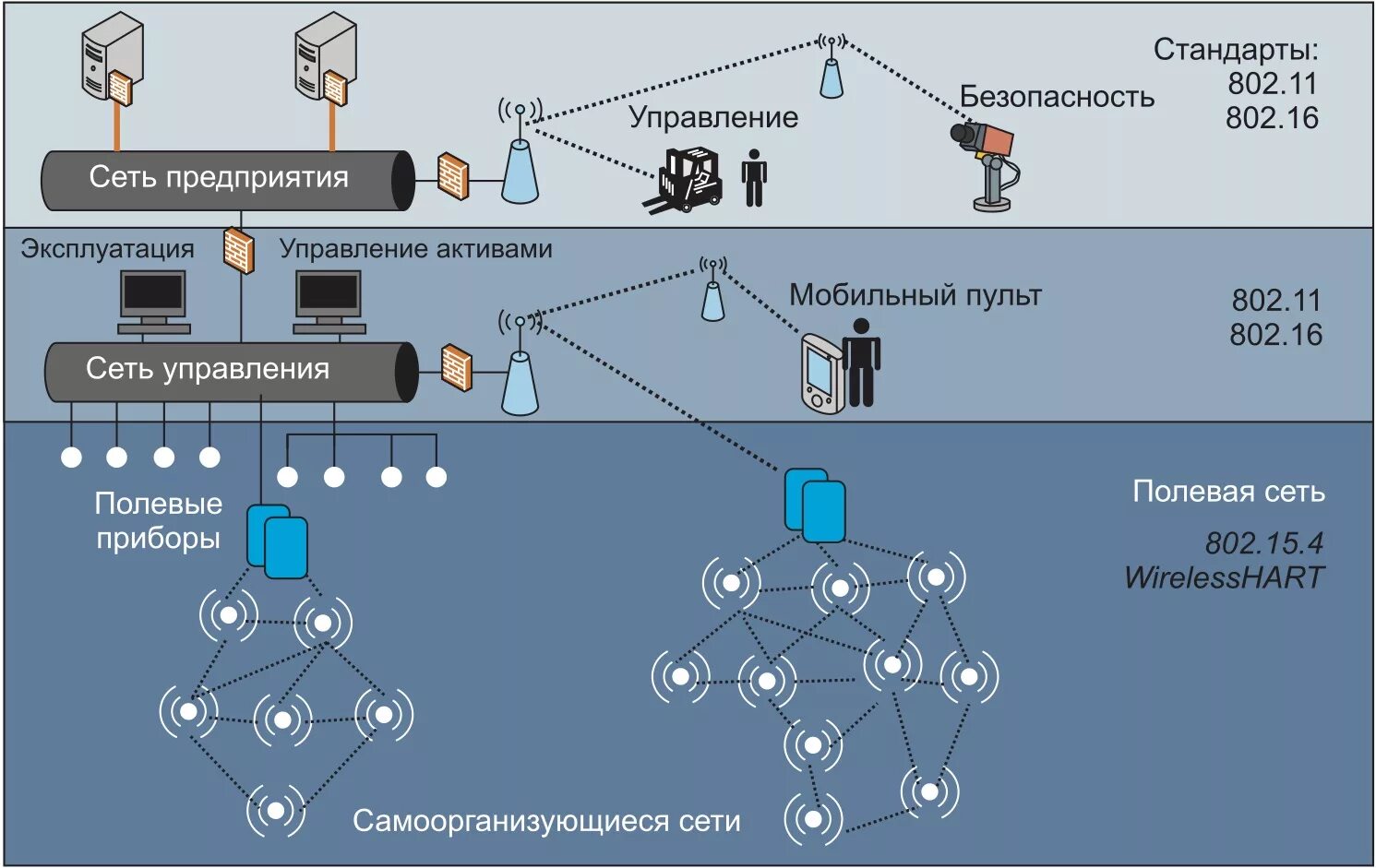 Сайт продажи сетей. Сеть с множественным доступом. Сеть СПД. Выделенные каналы связи. Сеть передачи данных предприятия.