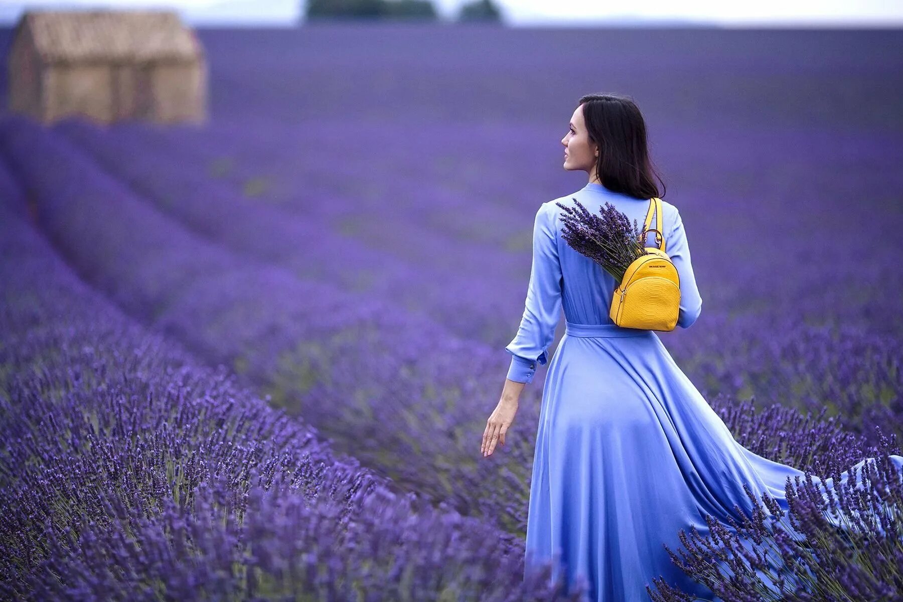 Лаванда фон. Лавандовая ава. Девушка на лавандовом лугу. Женщина с лавандой. Dakota pink модель.