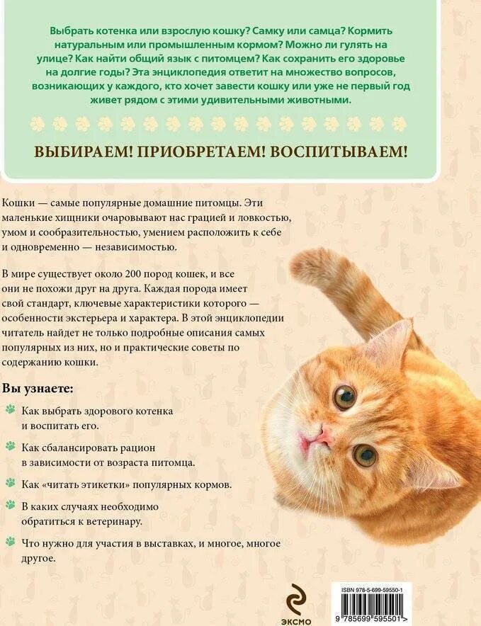 Выбрать котенка. Как выбрать котенка. Как выбрать кота. Как выбрать себе котенка.