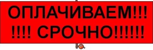 Оплату не забудьте. Срочно оплатить. Картинка срочно оплата. Срочная оплата. Картинка срочно оплатить.