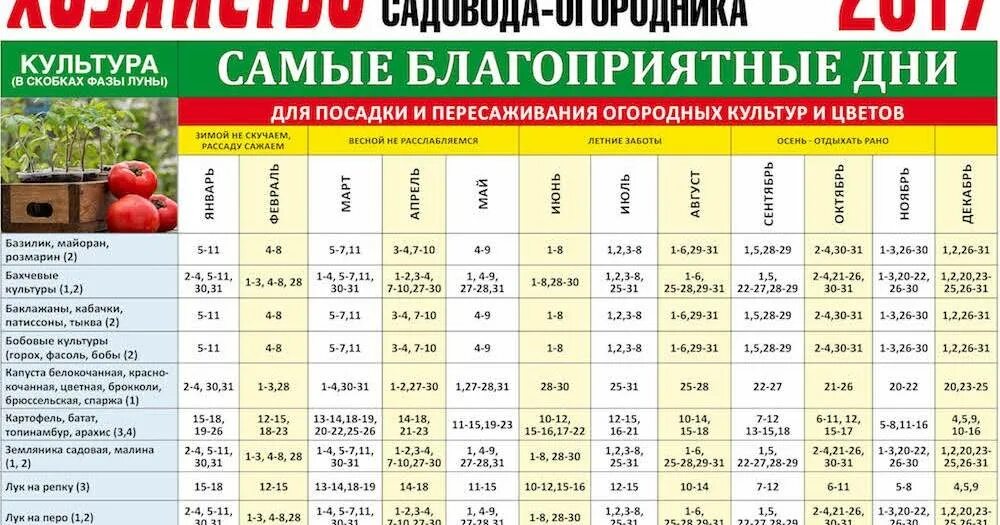 Фаза луны в марте 2024 для посадки. Посевной календарь. Календарь посадок. Благоприятные дни для посадки. Садовый календарь.