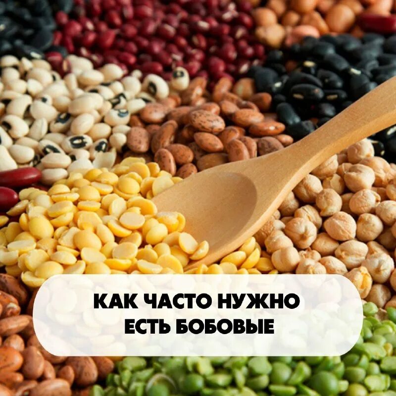 соленые бобы. горох кукуруза фасоль. горох. бобовые и масличные культуры. семейство мотыльковые бобы.