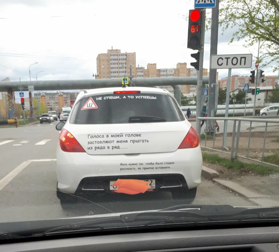 Голоса в голове помогите. Голоса в голове заставляют. Голоса в моей голове заставляют меня шнырять по рядам. Голоса в голове заставляют меня шнырять по рядам наклейка. Голоса в моей голове заставляют.