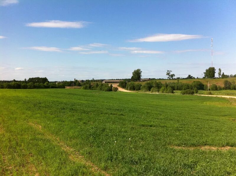 Исаево. Заросший земельный участок. 62. Лесной фонд тверской области. Тверская область лихославльский район д.