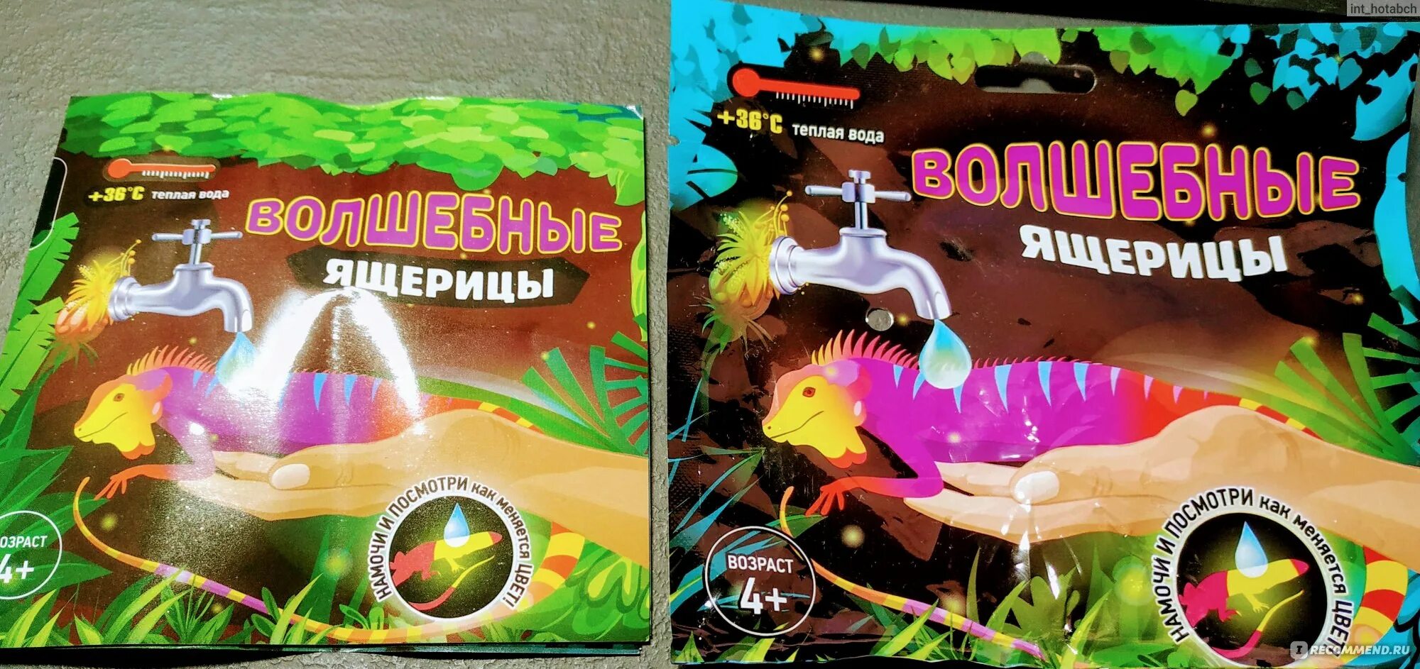 Игрушки юный натуралист волшебные рыбки. Юный натуралист волшебные рыбки. Юный натуралист волшебные. Игрушка abtoys юный натуралист ящерица волшебная. Ящерицы игрушки резиновые меняют цвет в воде.