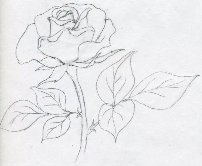 Как красиво нарисовать 4. Красивые и простые рисунки. Цветы рисунок карандашом. Рисунки лёгкие и красивые.