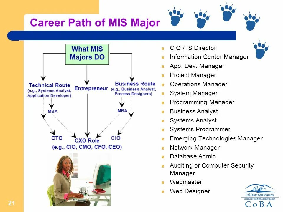 Career Path. Mis (Management information System) примеры. Mis Management information System на русском. Technical Project Manager career Path. Engineering career