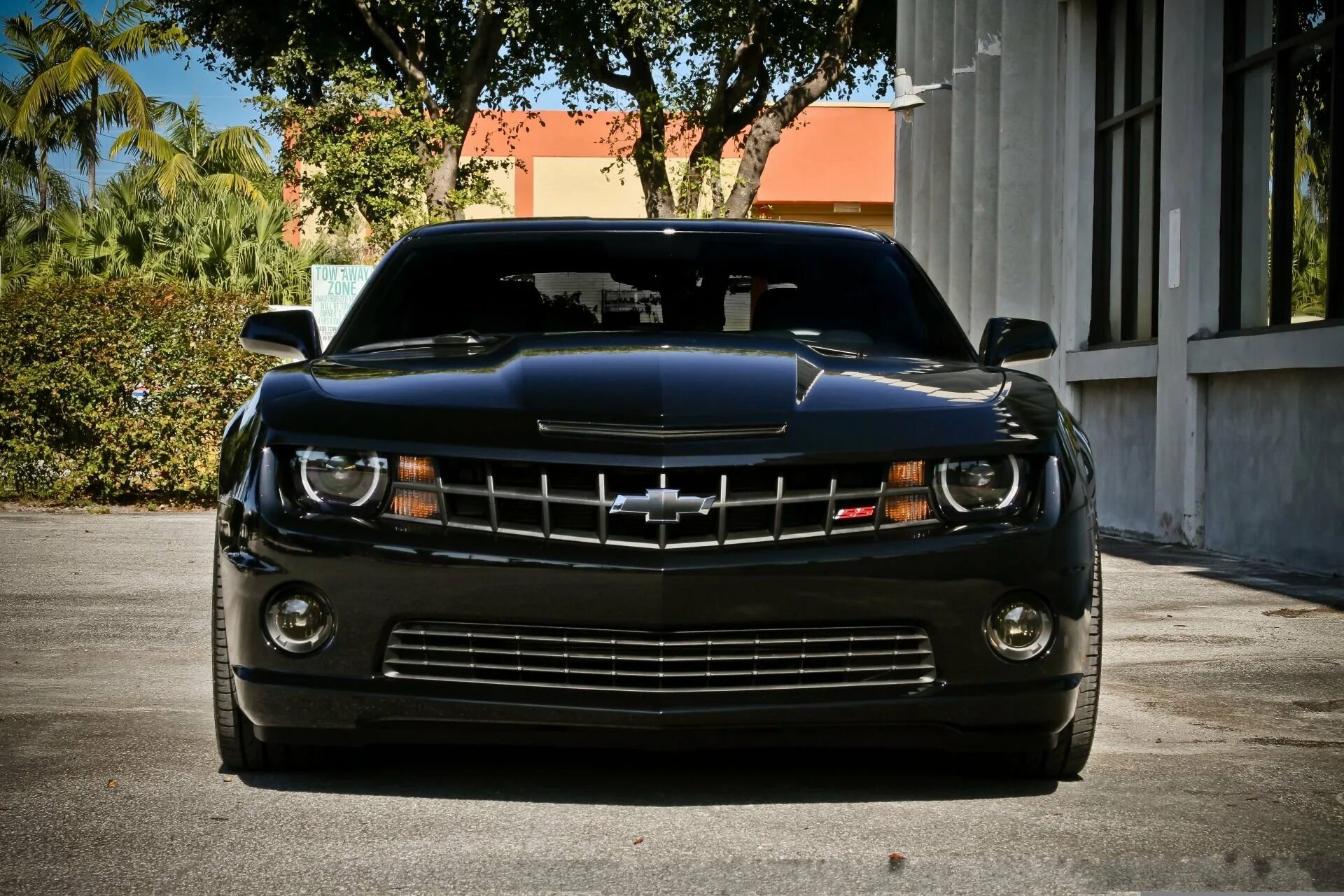 Машины без авторских прав. Шевроле Камаро SS. Шевроле Камаро СС черный. Chevrolet Camaro SS черный. Шевроле Камаро 2022 черный.