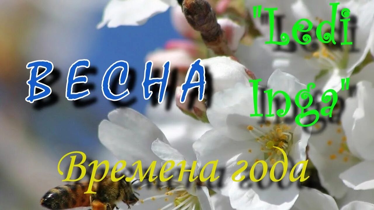 Песни про весну на английском. Встречаем музыкой весну. Лучшие песни о весне. Песня про весну. Красивые песни про весну для старшей группы.