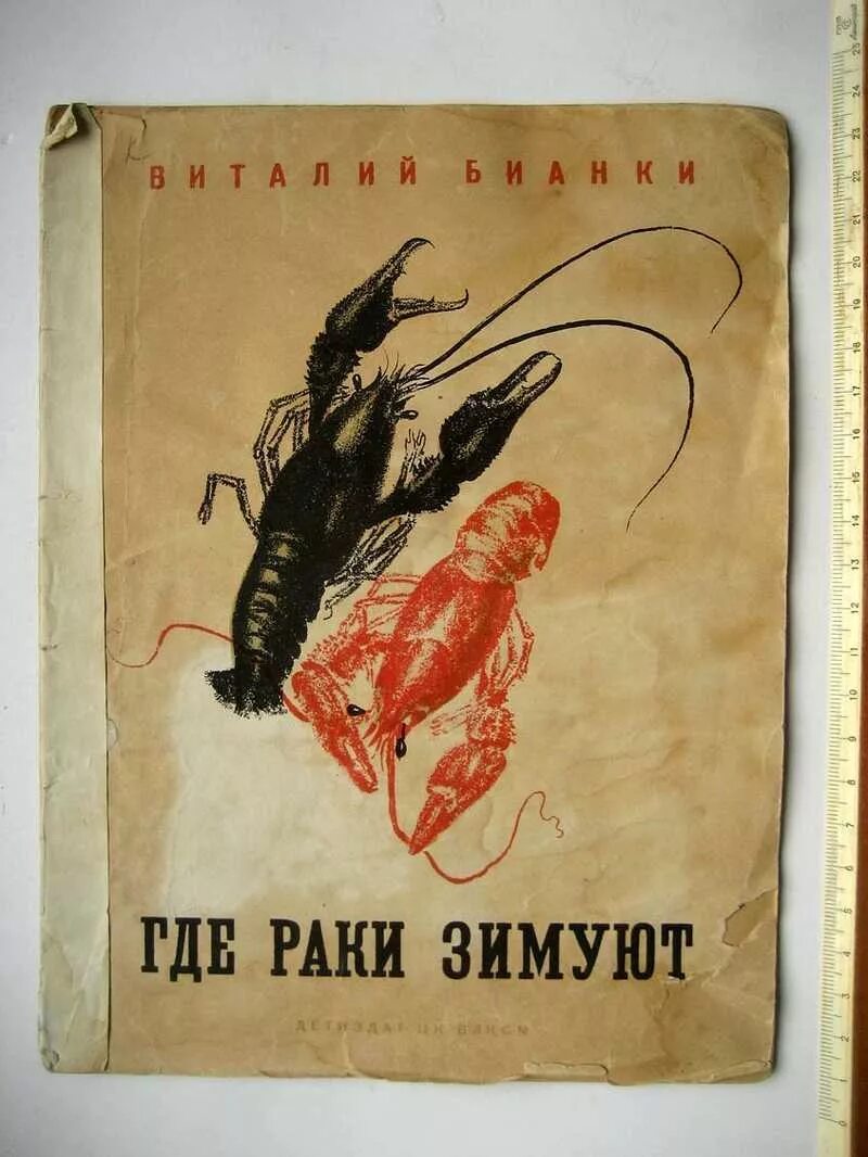 Там раки зимуют. Gde Raki thimyut. Рисунок где река зимуют. Издательский плакат ДЕТИЗДАТ. Бианки. Рассказы. Оглавление где. Раки. Зимуют. Оглавление.