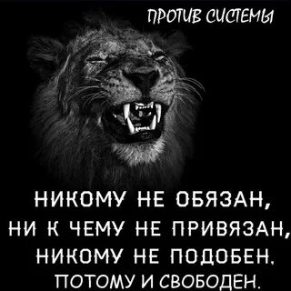 Никому никому не расстегивала