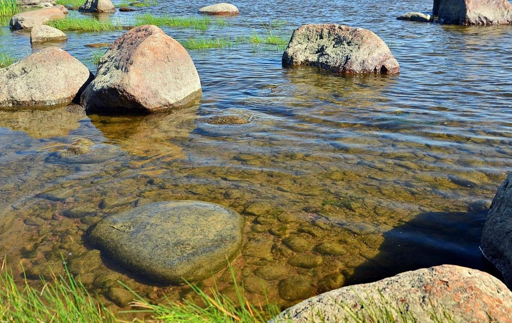 Камни в озере. Озеро Каменное Карелия. Каменистый берег реки Карелия. Каменная река Карелия. Каменистый берег озера в Рязанской области.