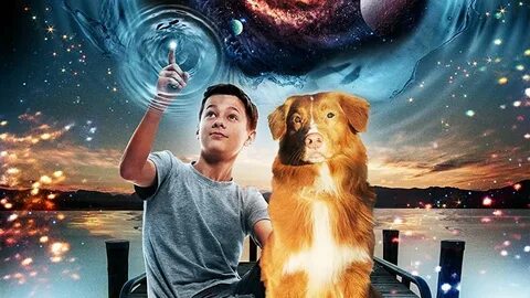 The dog is mine