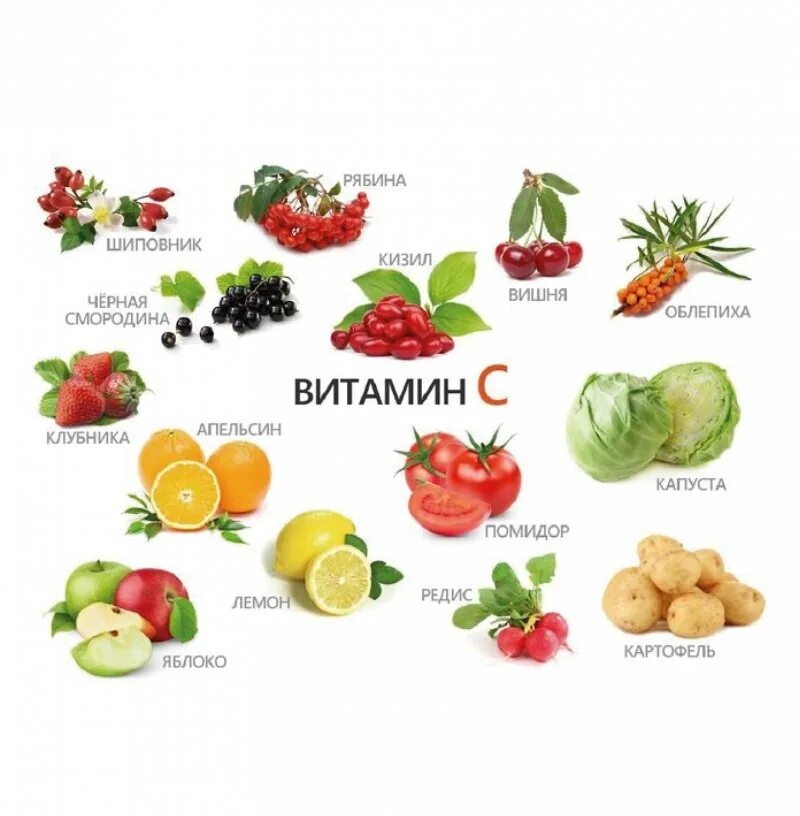 Овощи фрукты содержат