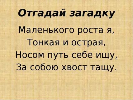 Рост тонкой