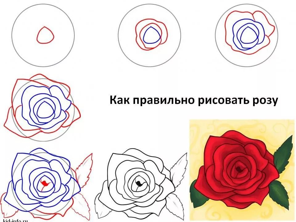 Схема рисования розы. Пошаговое рисование розы. Рисование розы для детей.