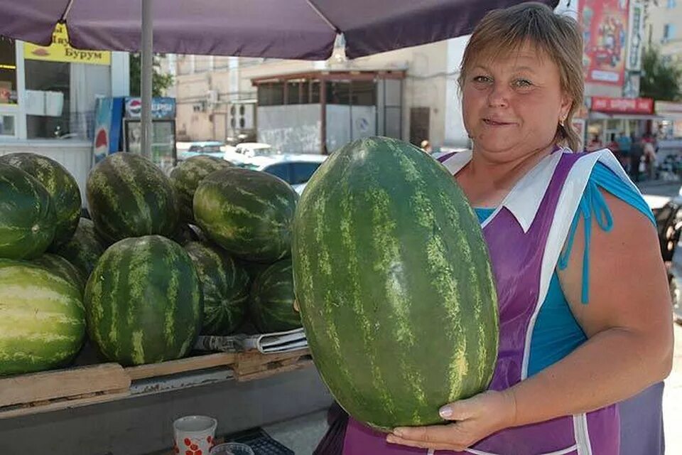 Волгоградские арбузы. Арбузы продают. Арбузы на рынке. Большие арбузы женские.