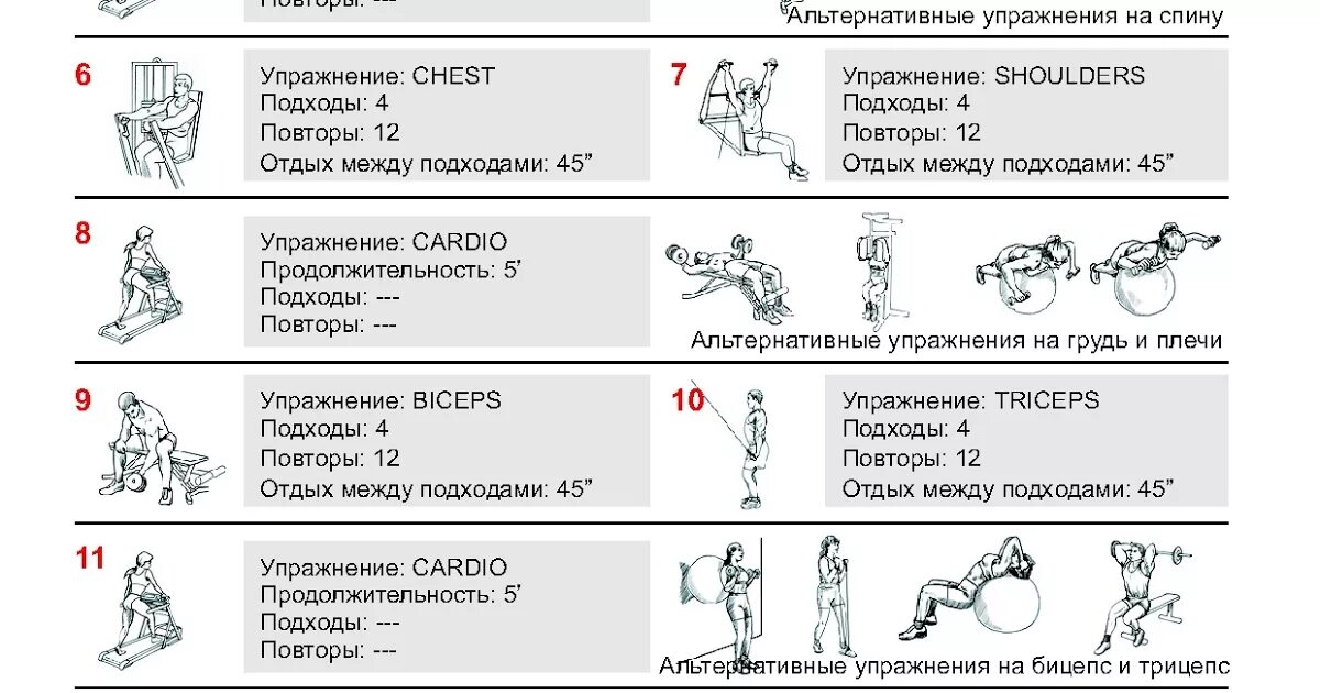 Сколько тренировок должно быть в неделю. План тренировок в тренажерном зале в схеме. Схема тренировок в тренажерном зале для мужчин 3. План тренировок с гантелями для набора мышечной массы для спины. План тренировок для увеличения мышечной массы.