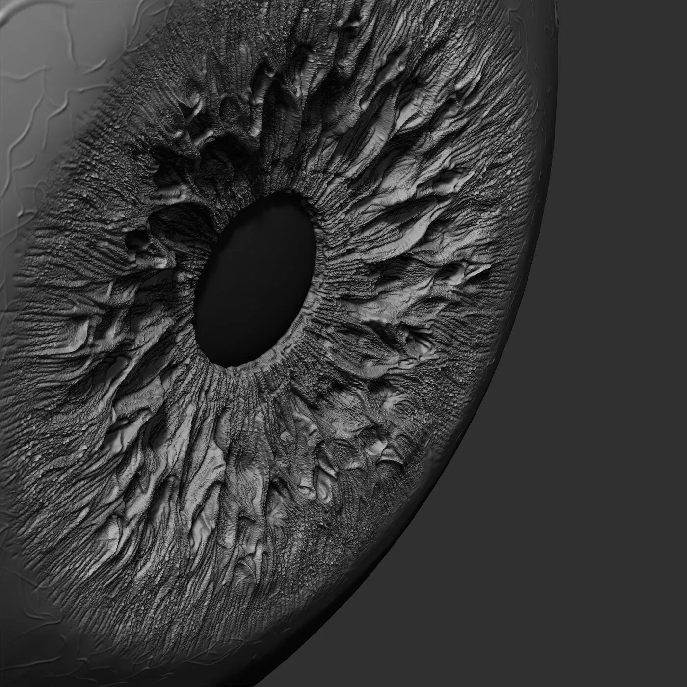 Eye 3d model