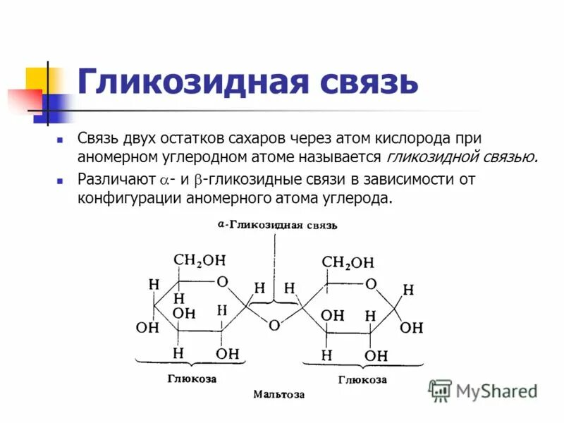 1 1 гликозидной связью