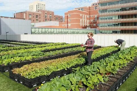 Grow center