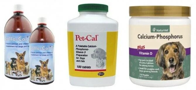 Эклампсия у собак после родов. Эклампсия у собак после родов. Послеродовая эклампсия у собак. Послеродовая эклампсия у собак. После родовая еклапсия у собак.