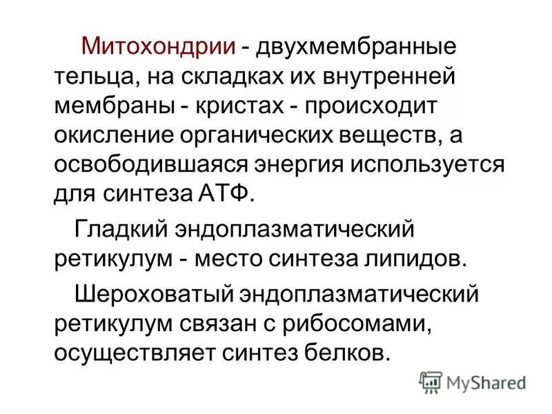 энергетические этапы цикл кребса. осуществляется на кристах. цикл кребса и этапы клеточного дыхания. осуществляется на кристах. осуществляется на кристах.