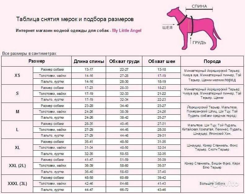 Как измерить размер собаки для одежды. Размерная сетка для собак средних пород одежда. Таблица размеров одежды для собак мелких пород йорки. Размеры одежды для собак Джек Рассел.