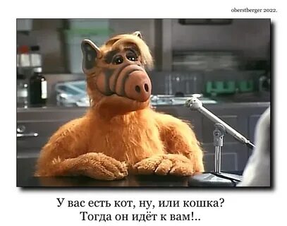 Вы думаете поможет