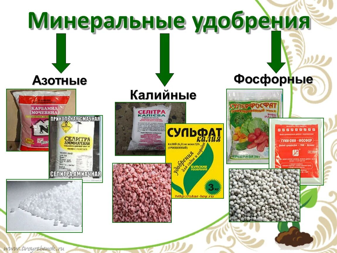 Мочевина или селитра что лучше. Азотно фосфорное удобрение. Азотные удобрения фосфорные удобрения калийные удобрения. Минеральные удобрения азотные фосфорные калийные таблица. Удобрения Минеральные азотные фосфорные.