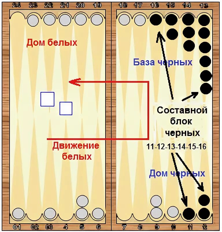 Игрок в нарды. Расстановка шашек в нарды длинные. Длинные нарды выброс фишек. Походные нарды. Нарды.