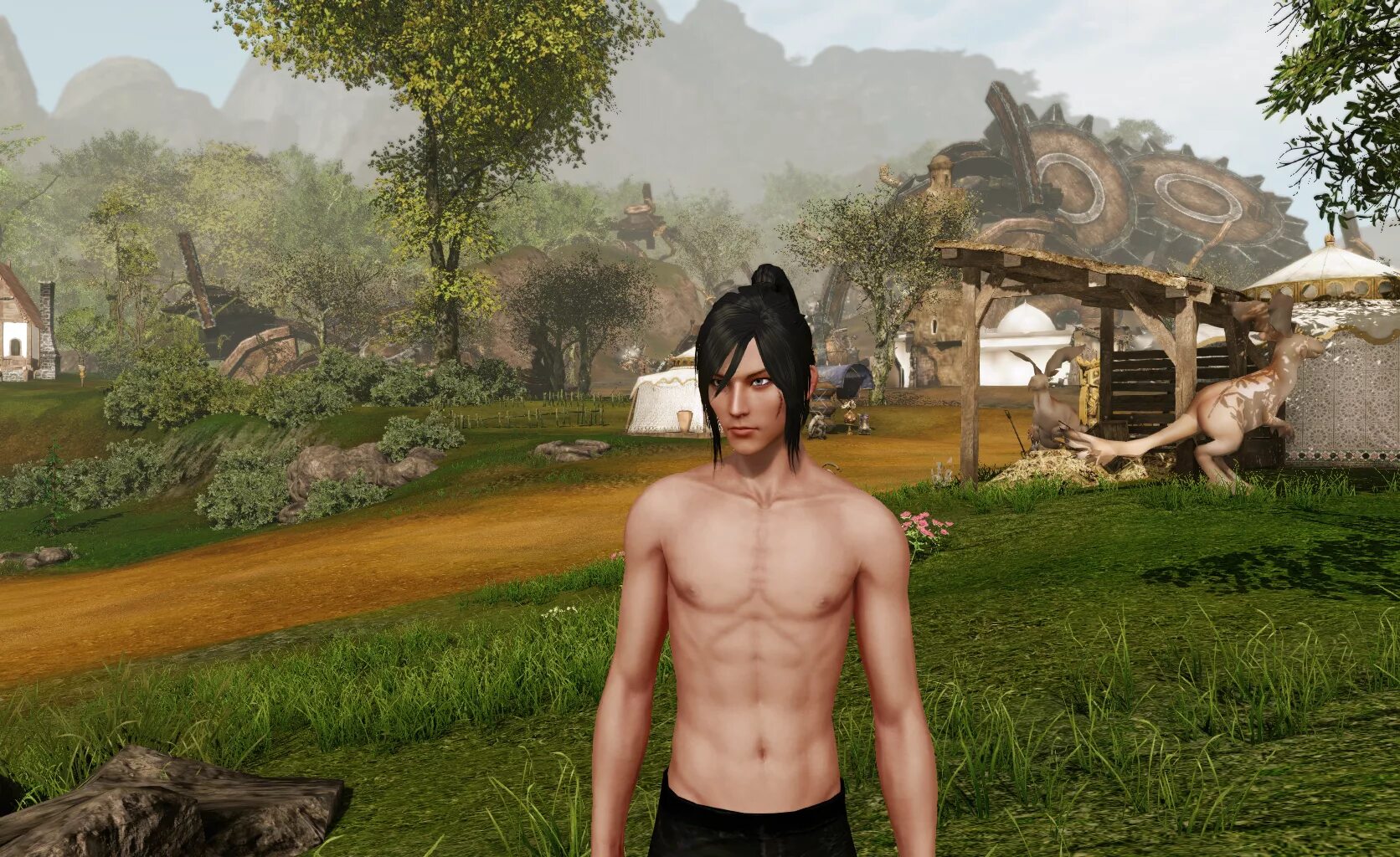 Archeage персонажи. Archeage летучий харниец. archeage 2. архейдж фейри. архейдж 2014.