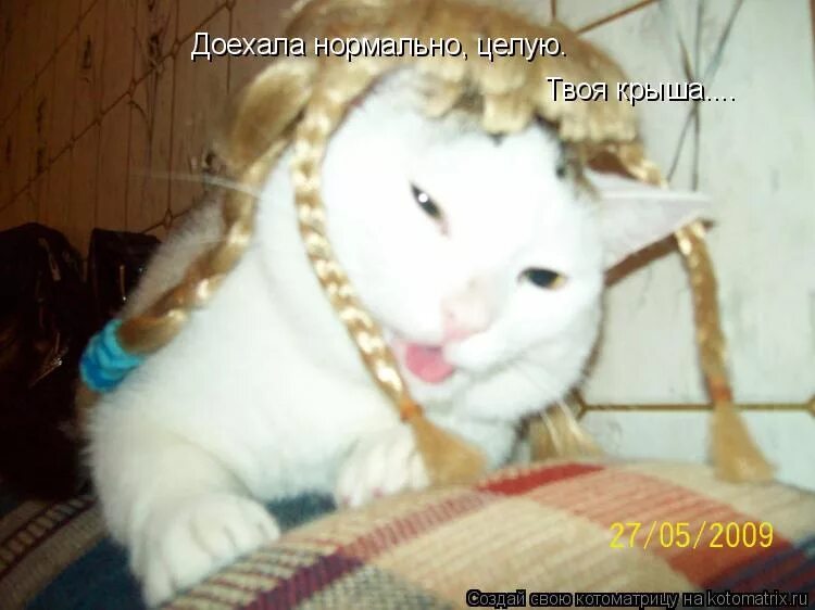 Все нормально целую. Доехала нормально целую твоя крыша. нормально доехали. доехала хорошо целую твоя крыша. как доехали нормально всё у вас ?.