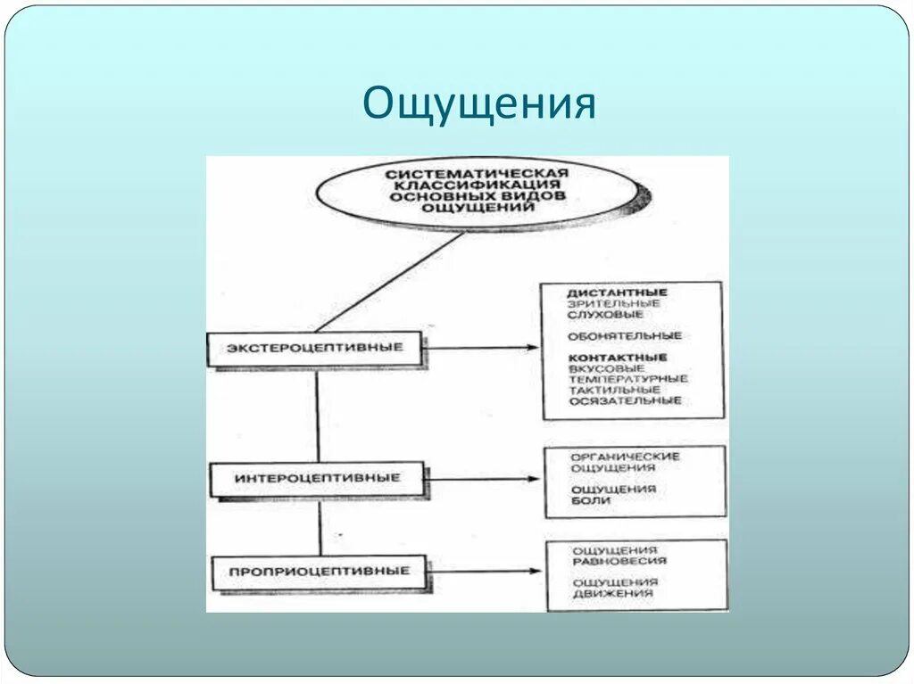 Ощущения страны. Классификация ощущений. Классификация ощущений в психологии. Схема ощущения в психологии. Схема классификация ощущений в психологии.