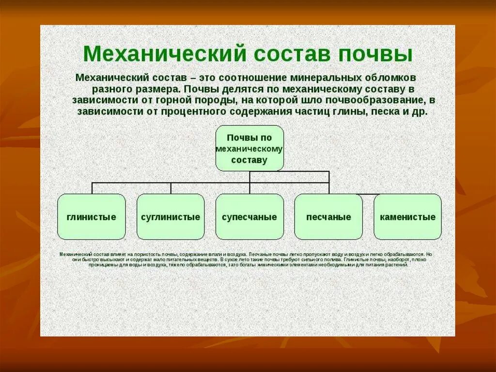 Закон о плодородии. Меры по сохранению плодородия почв. Понятие плодородие почвы. Виды плодородия почв. Механический состав почвы.