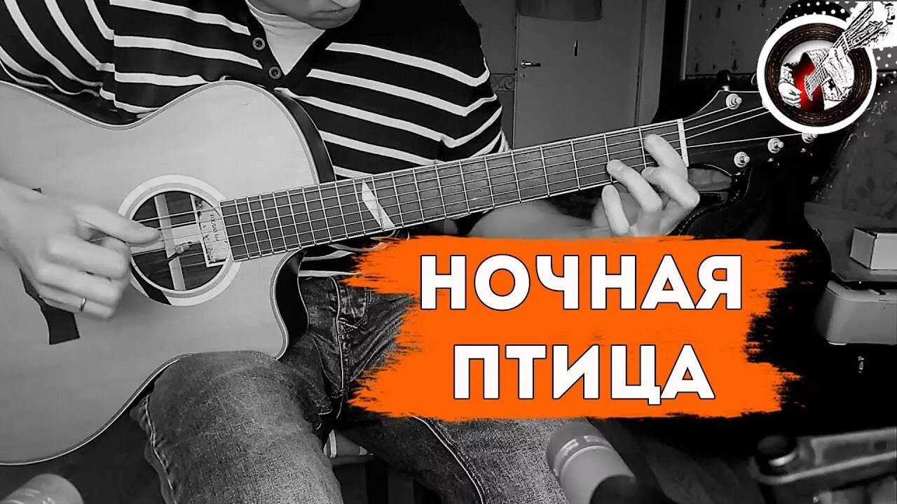 Песня никольского ночная птица. Алекс мерси на гитаре. Ночная птица Никольский. Ночная птица Никольский Соло. Алекс мерси гитара Мурка.