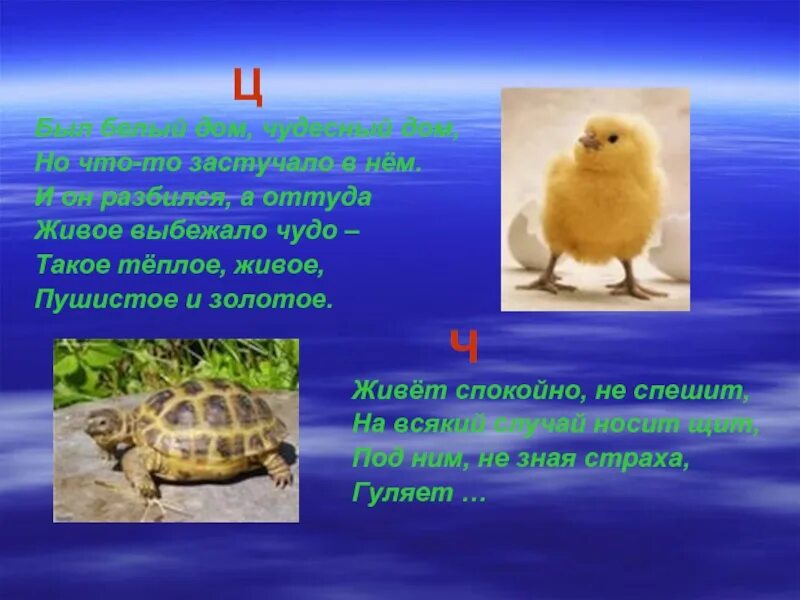 Смертельный лабиринт hd(ужасы, триллер, драма, детектив)2005. Загадка был белый дом чудесный дом но что-то застучало в нем. Гость короткометражный фильм 2017. Живой оттуда. Сумасшедшая езда фильм 2011.